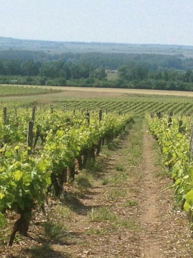 Gite Du Calme 3 Star Bed & Breakfast Cognac Cherac Екстер'єр фото